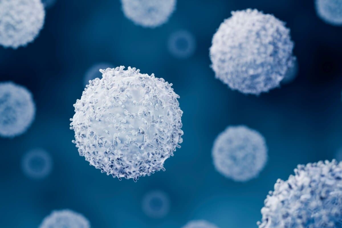 Eine sequenzielle CAR-T-Zell-Therapie scheint bei Kindern mit B-ALL vielversprechend.