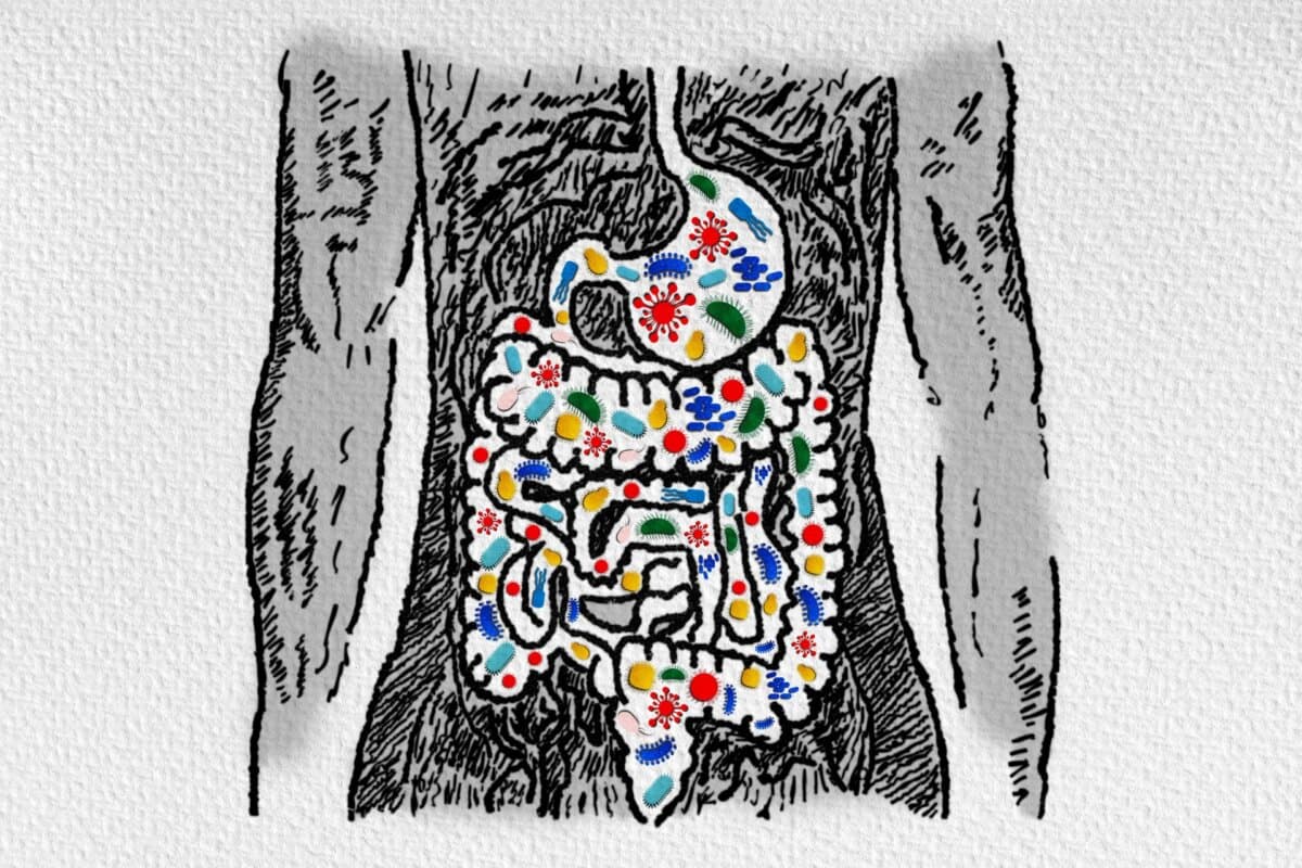 Une nouvelle directive de l'AGA reprend les groupes de personnes qui peuvent tirer bénéfice de la transplantation de microbiote fécal.