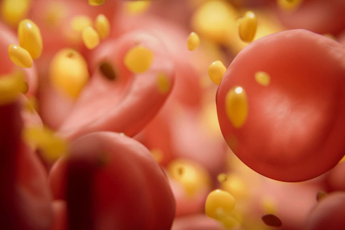 Für das Gelingen einer langfristigen Statin-Therapie sollte man ein gutes Nebenwirkungsmanagement betreiben.