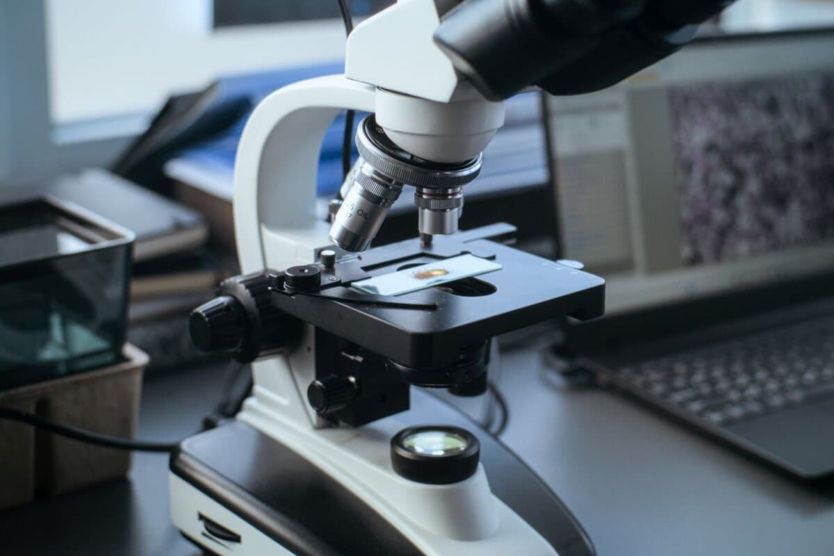 Der Einsatz von MRD-Tests und Immunoscores könnte individualisierte Therapieentscheidungen beim Kolonkarzinom ermöglichen.
