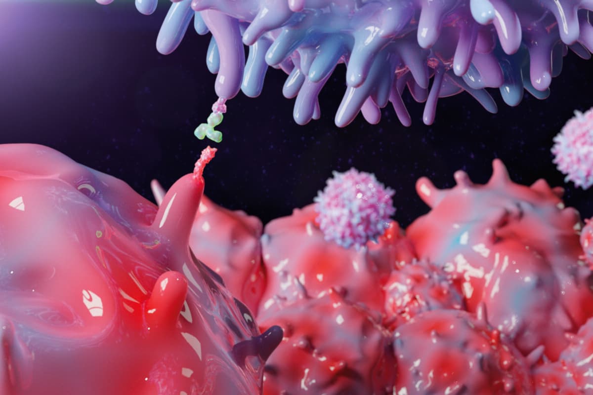 3D Rendering of Therapeutic Antibody Binding to PD-1
