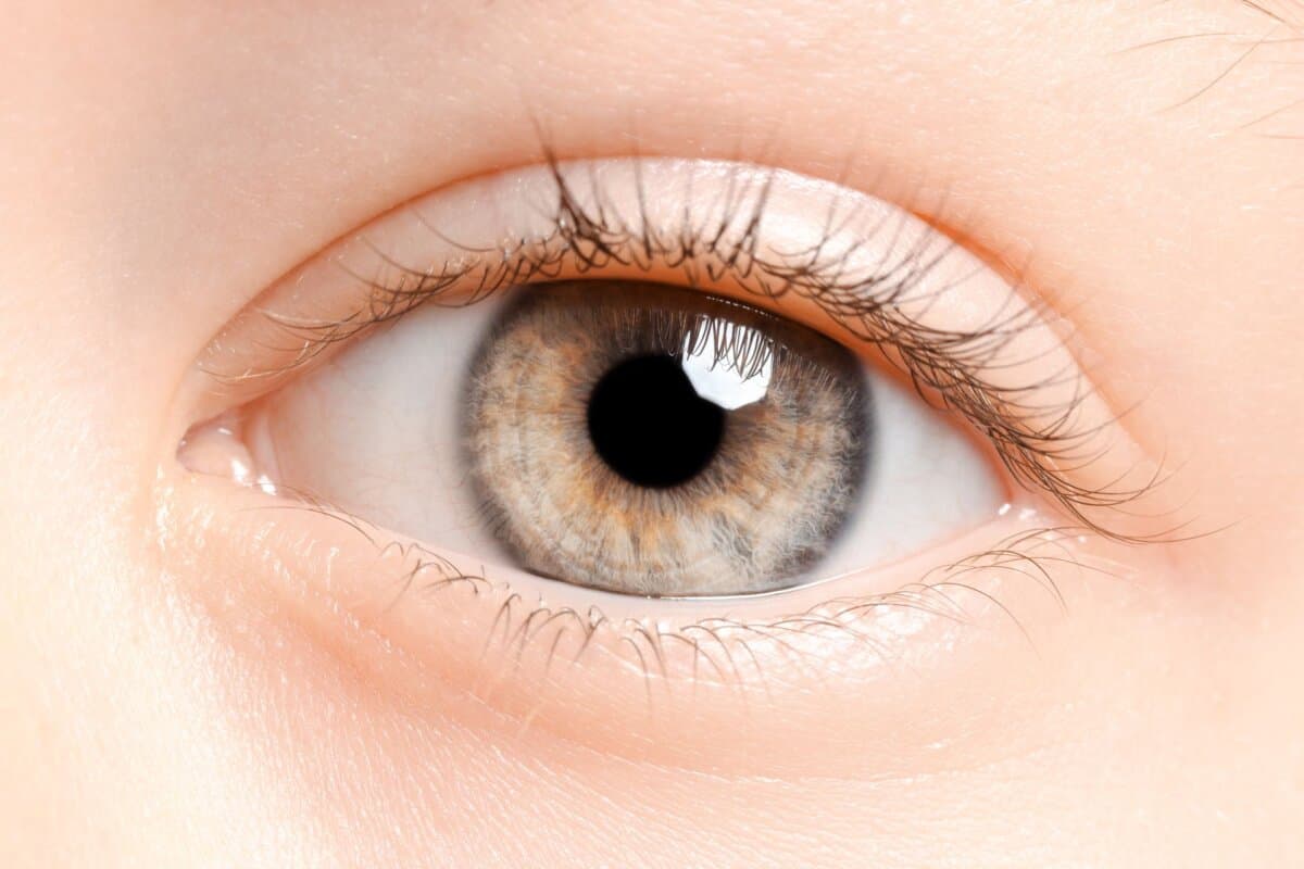 Ein Therapieabbruch von Adalimumab bei Uveitis von Kindern mit juveniler idiopathischer Arthritis ist nicht zu empfehlen.