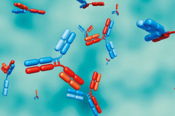 MTCH_2025_KW24_mto2NL_AdobeStock_Love Employee_929712150_2