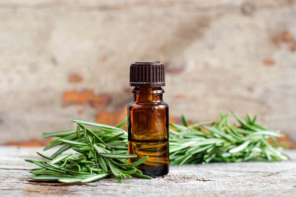 Kleine Flasche ätherisches Rosmarinöl