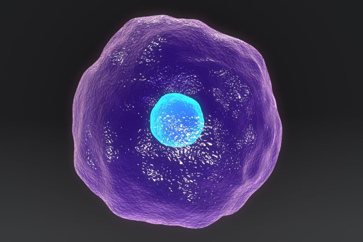 Die gezielte Reaktivierung von regulatorischen T-Zellen ist ein Hoffnungsträger bei Psoriasis.