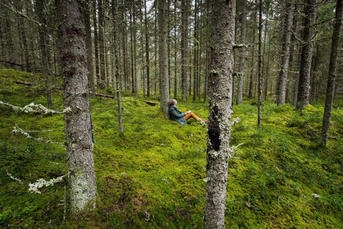 Femme assise dans une forêt.