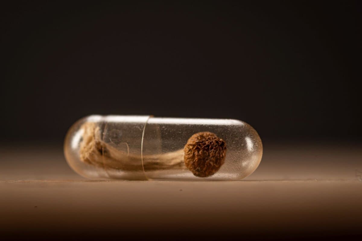Psilocybin: Pilz in Pillenform