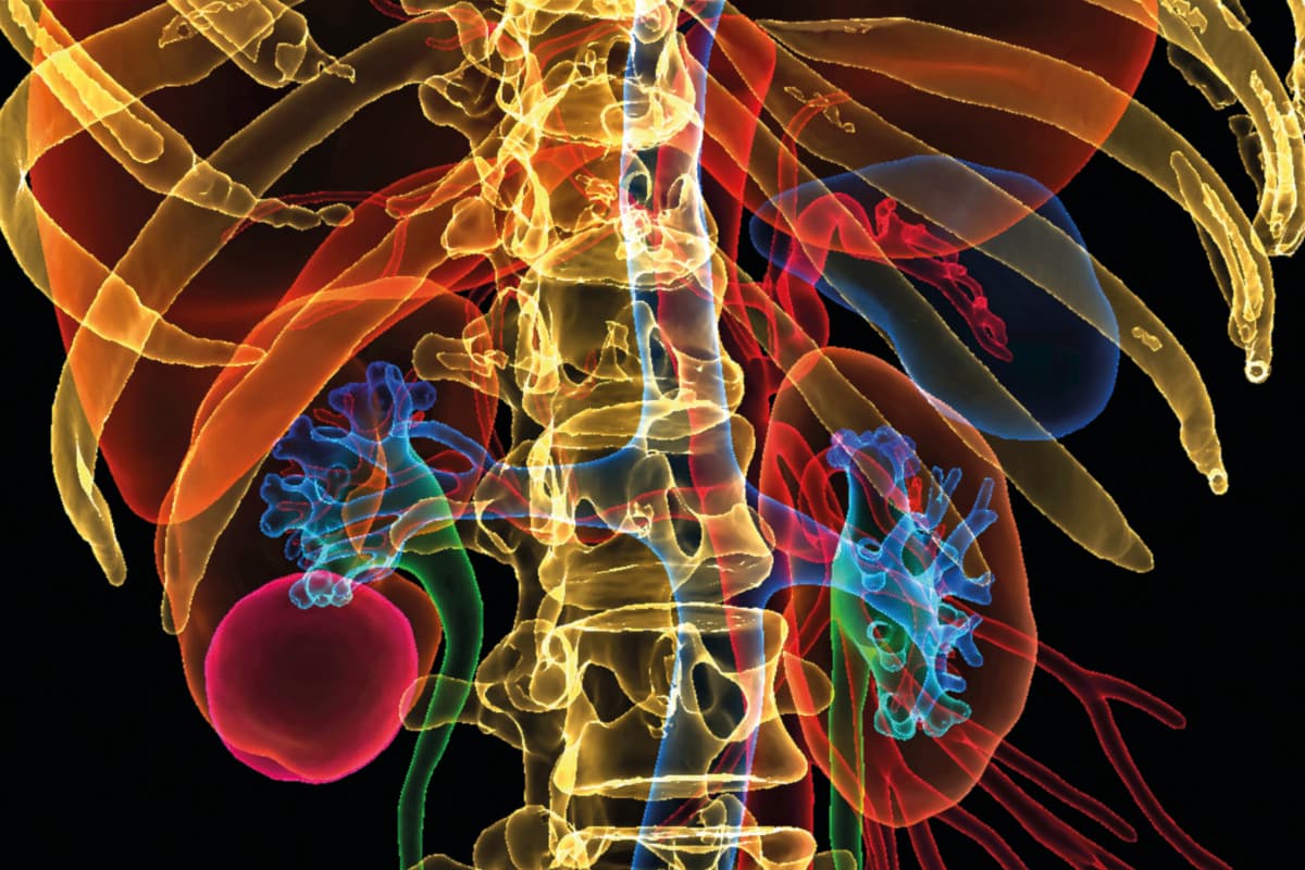 Renal Cell Carcinoma<br>Update 2026