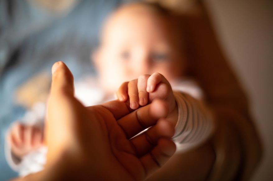 Erwachsene Person hält neugeborenen die Hand