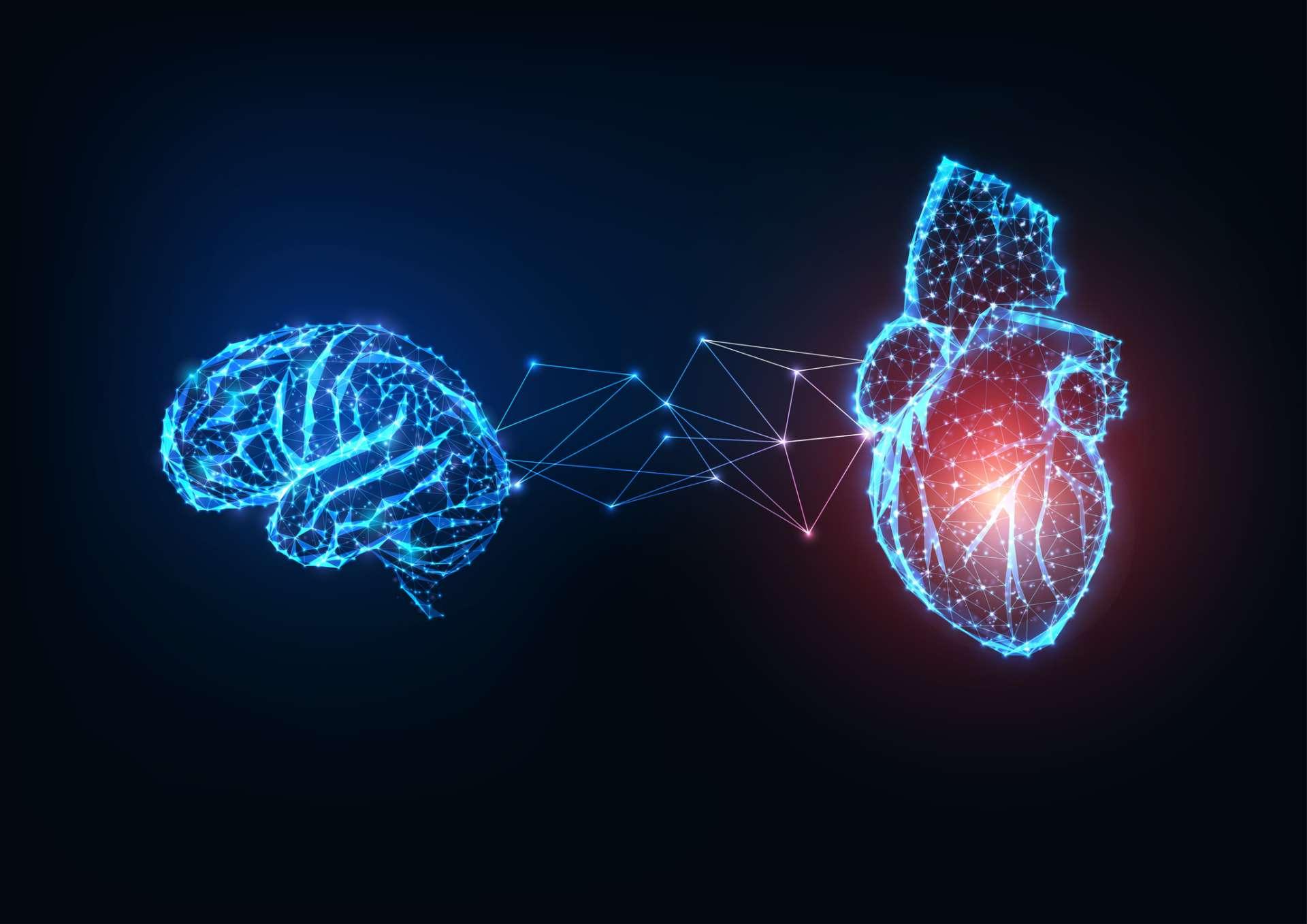 Futuristisch leuchtende niedrige polygonale verbundene menschliche Organe Gehirn und Herz auf dunkelblauem Hintergrund.