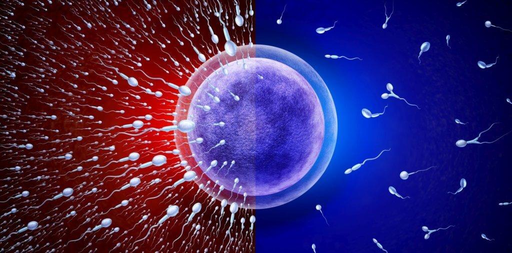 Für die männliche Unfruchtbarkeit gibt es zunehmend Therapieoptionen.