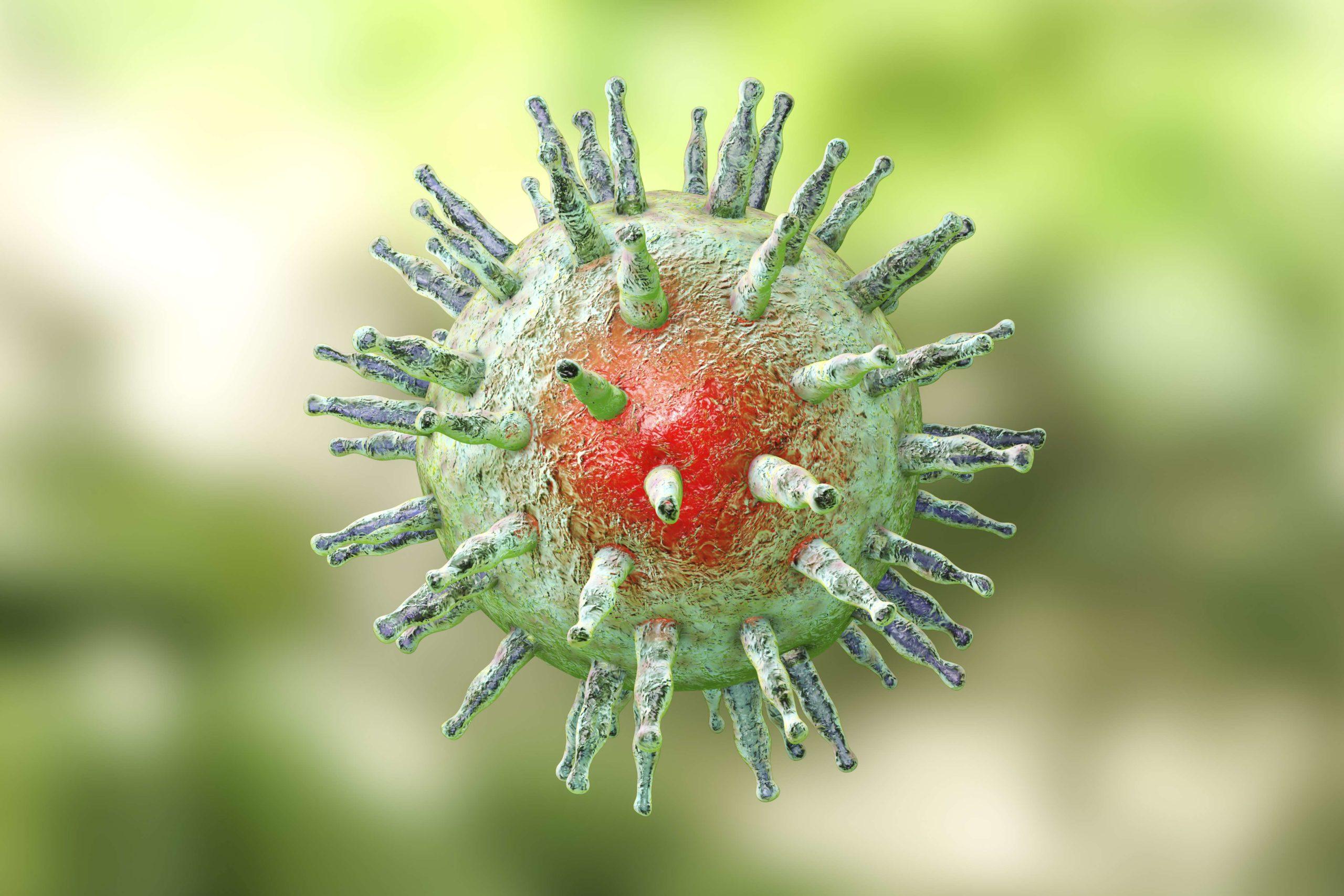 Epstein-Barr-Virus EBV, ein Herpesvirus, das infektiöse Mononukleose und Burkitt-Lymphom verursacht. 3D-Darstellung