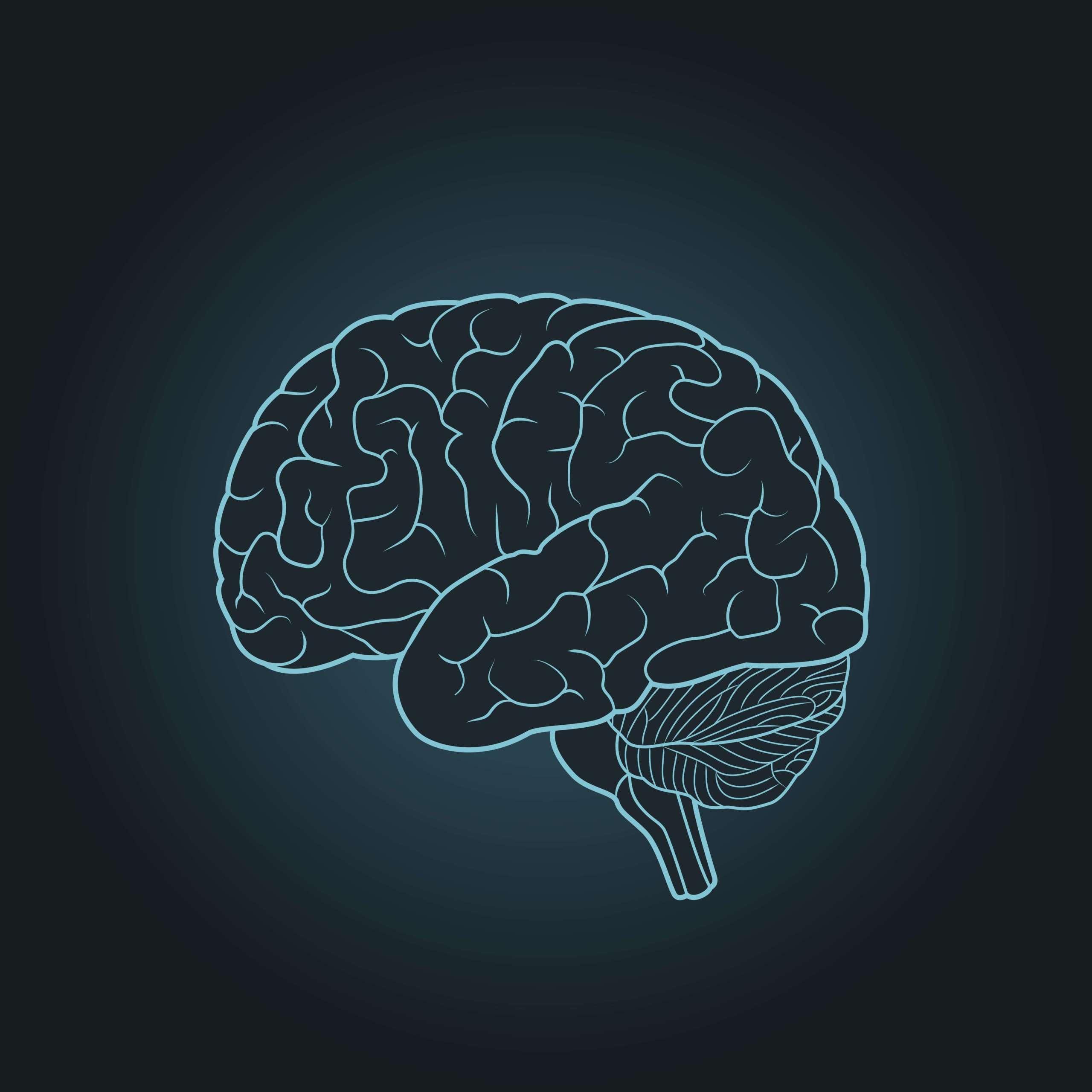 Schematische Darstellung des menschlichen Gehirns auf blauem Hintergrund