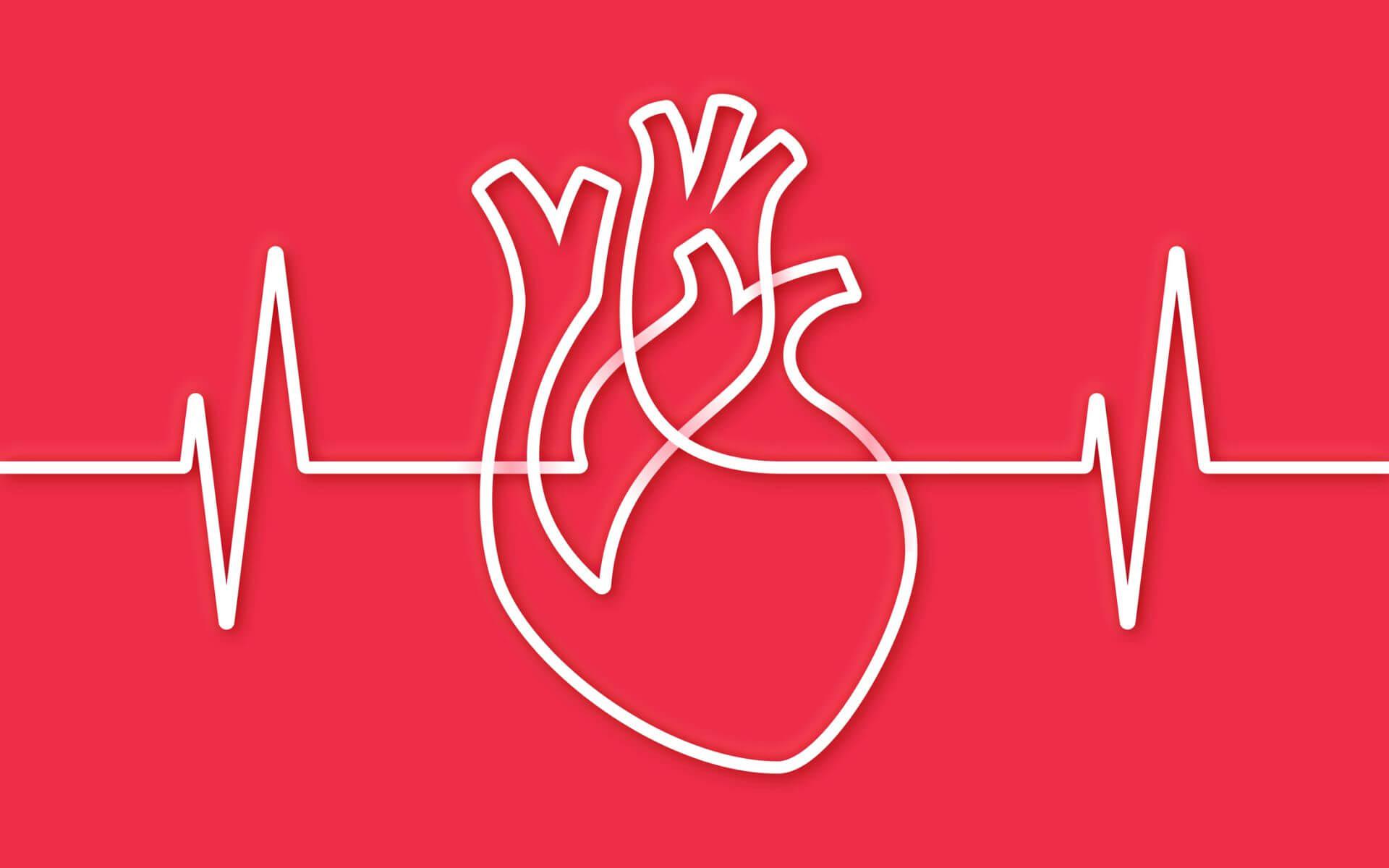 Herzrhythmusstörungen gehören abgeklärt, auch wenn sie bereits wieder vorbei sind.