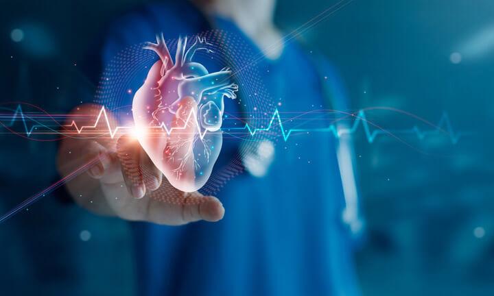 3D-Illustration eines menschlichen Herzens mit Herz-Rhythmus-Linie. Nicht erkennbarer Arzt tippt aus Hintergrund mit Finger auf das Herz.