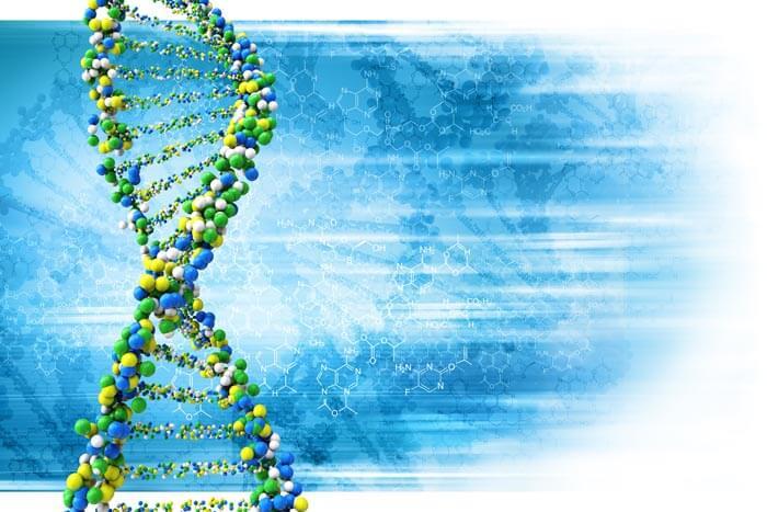 Digitale Illustration einer DNA