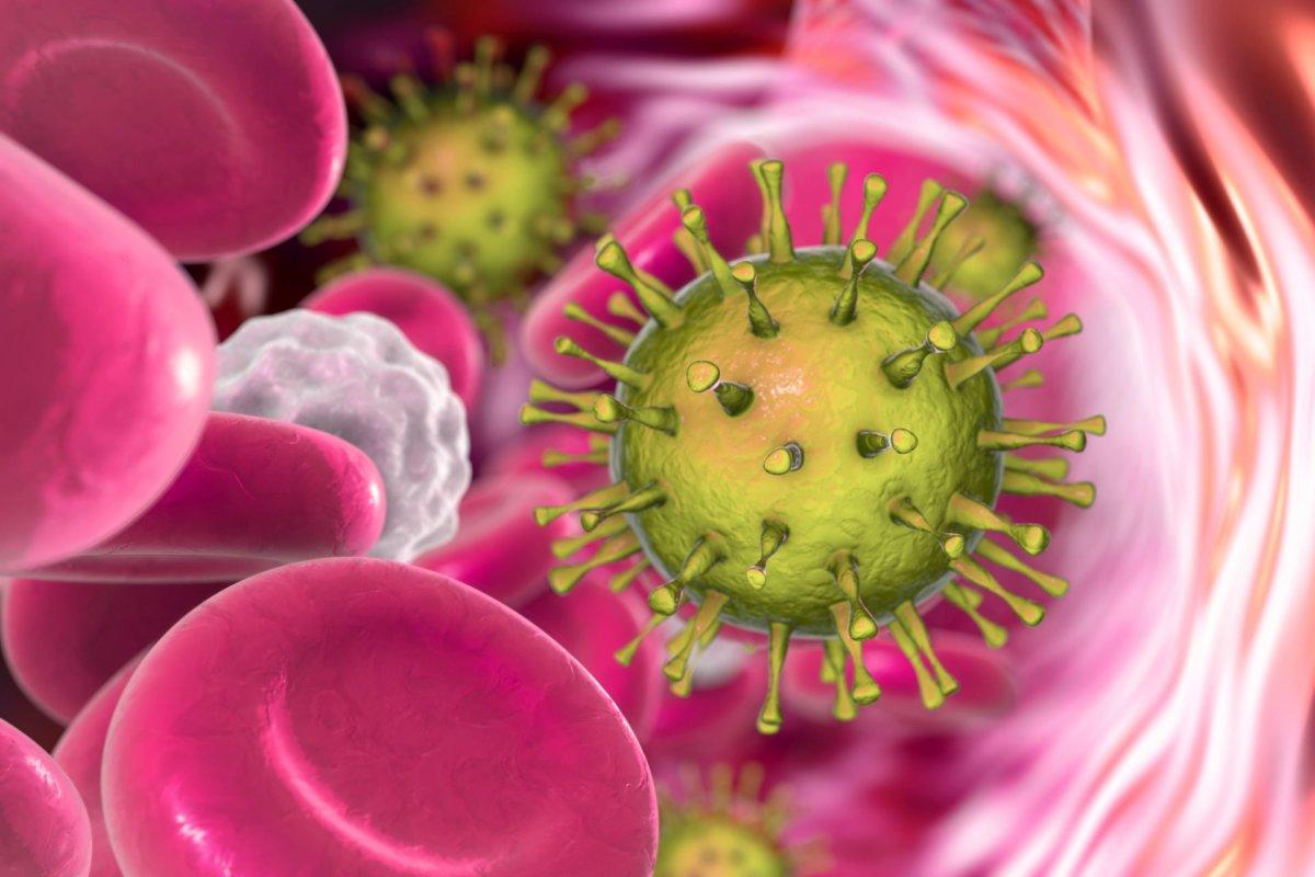Letermovir kann CMV-Infektionen bei Patienten mit Stammzelltransplantationen verhindern.