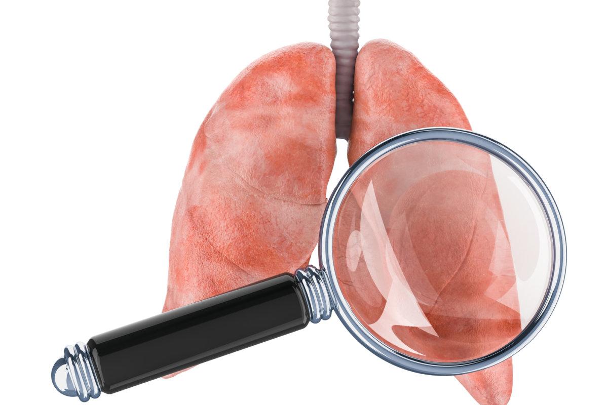 Menschliche Lunge mit Lupe. Forschung und Diagnose des Lungenkonzepts, 3D-Darstellung isoliert auf weißem Hintergrund