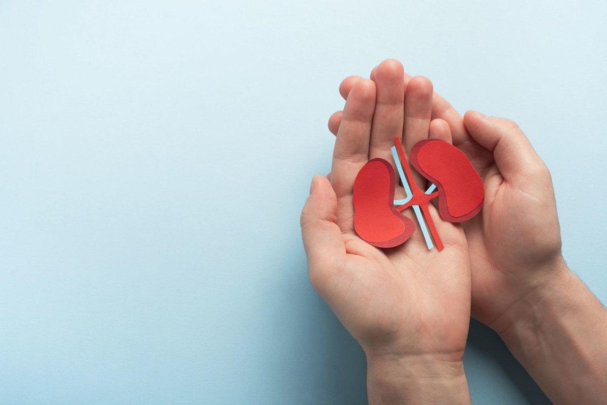 Niereninsuffizienz und Hyperkaliämie erschweren häufig eine leitliniengerechte Therapie der Herzinsuffizienz.
